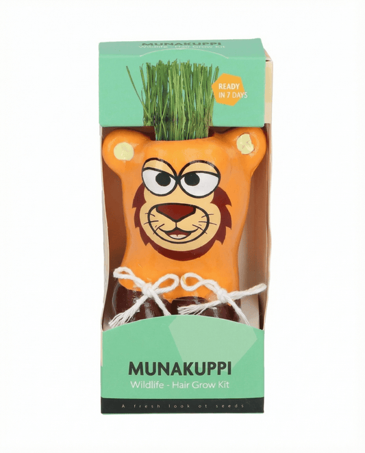Italienskt rajgräs (Lolium multiflorum) – odlingskit frön från SeedsChoice