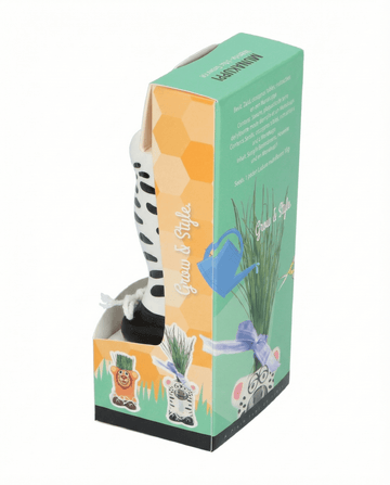 Grass Zebra (Lolium multiflorum) – odlingssatsfrön från SeedsChoice