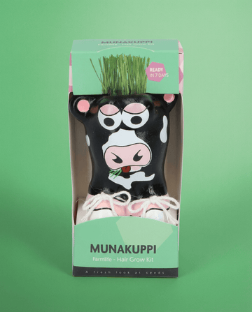Italienskt rajgräs betesmark (Lolium multiflorum) – odlingskit frön från SeedsChoice