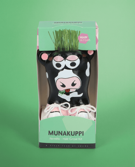 Italienskt rajgräs betesmark (Lolium multiflorum) – odlingskit frön från SeedsChoice