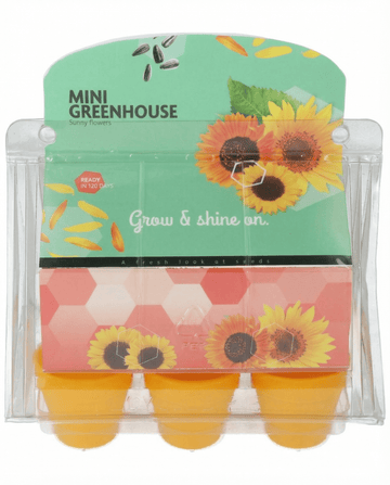 Solros Mini Greenhouse Pot frön (Helianthus annuus) – odlingskit