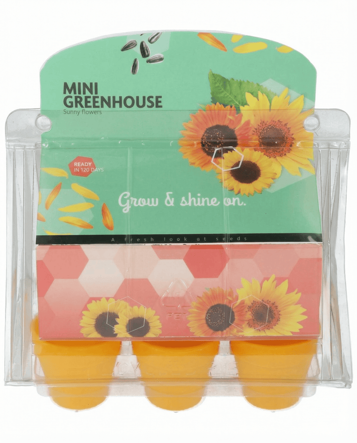 Solros Mini Greenhouse Pot frön (Helianthus annuus) – odlingskit