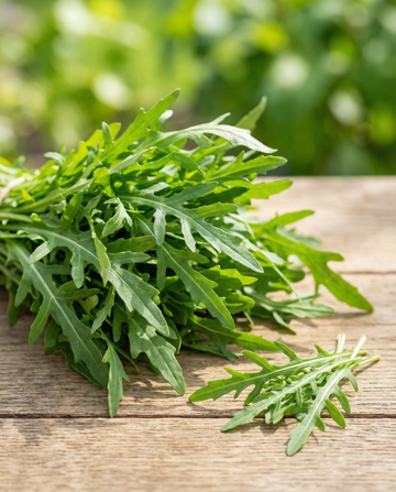 Fröband vild ruccola 7,5 m frön (Diplotaxis tenuifolia) – ettårigt fröband