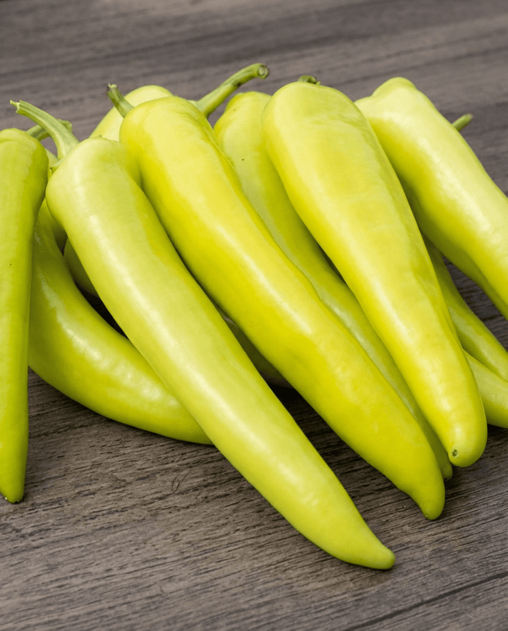 Frön av ungersk gul vaxpaprika (Capsicum annuum) – ettårig grönsak