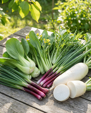 Oriental 6 Collection Etiketter Penna – frön för ettårigt odlingskit från SeedsChoice