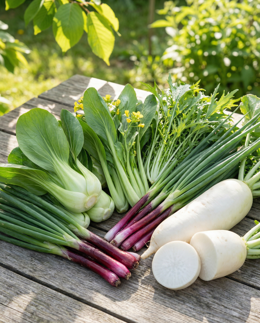 Oriental 6 Collection Etiketter Penna – frön för ettårigt odlingskit från SeedsChoice