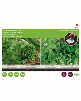 Frömattor för örter Petroselinum Crispum 4-pack 20x20 cm
