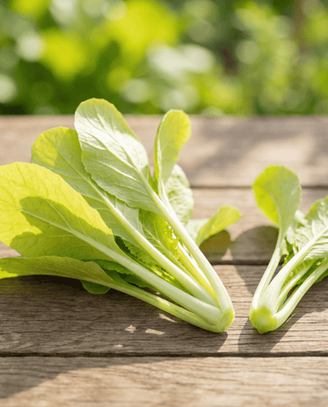 Rovblast gul frön (Brassica pekinensis) – ettårig grönsak