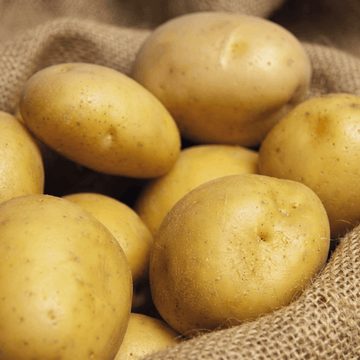 Frön av äkta potatis Soltastic F1 (Solanum tuberosum) – ettårigt grönsaksfrö