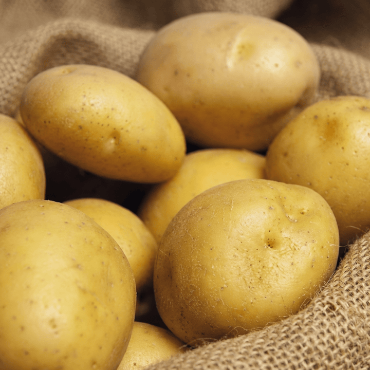 Frön av äkta potatis Soltastic F1 (Solanum tuberosum) – ettårigt grönsaksfrö
