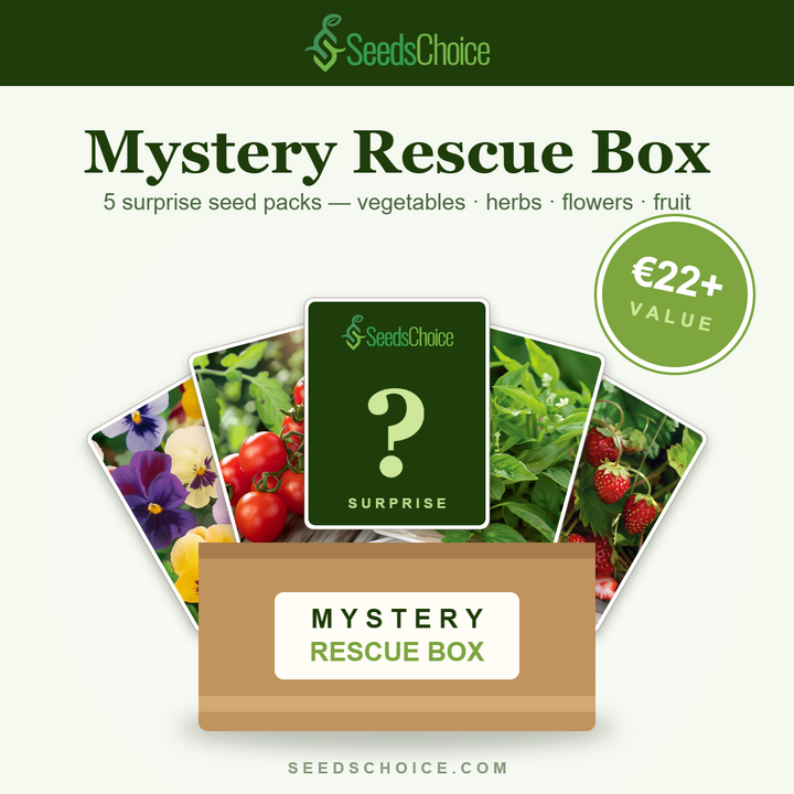SeedsChoice Mystery Box — överraskande mix av grönsaks-, ört-, blomster- och fruktfrön