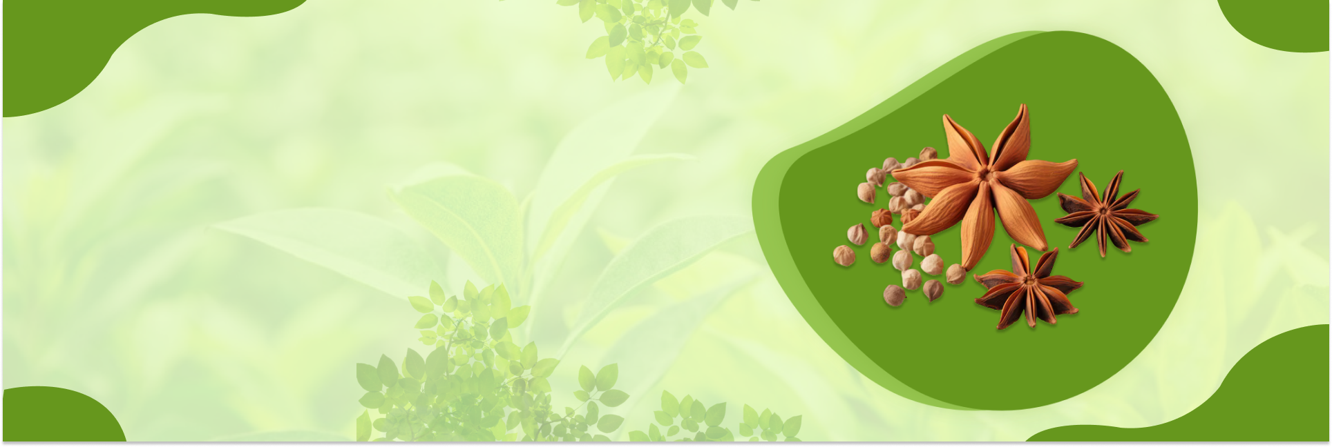 Ekologiskt – banner på SeedsChoice