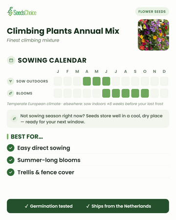 Såningskalender för Climbing Plants Annual Mix i ett tempererat europeiskt klimat: direktså april till juni, blommar juni till oktober; fröna håller bra till nästa såningssäsong