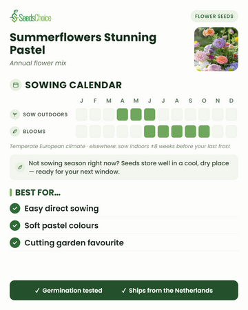 Såningskalender för Summerflowers Stunning Pastel i ett tempererat europeiskt klimat: direktså april till juni, blommar juni till oktober; fröna håller bra till nästa såningssäsong